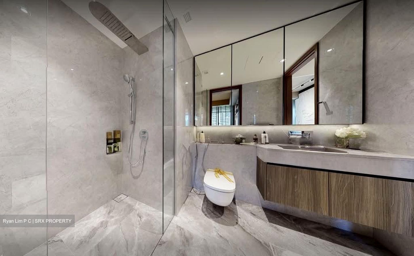 Canninghill Piers (D6), Apartment #586367131